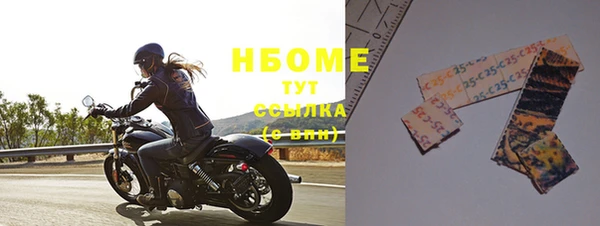 индика Карталы