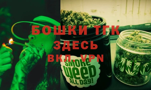 индика Карталы