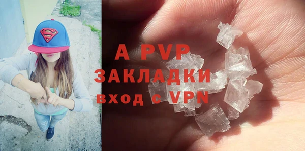 стафф Козловка